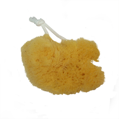 MOØSKÁ HOUBA Honeycomb 11-12 cm - Houby,žínky,rukavice - zvìtšit obrázek
