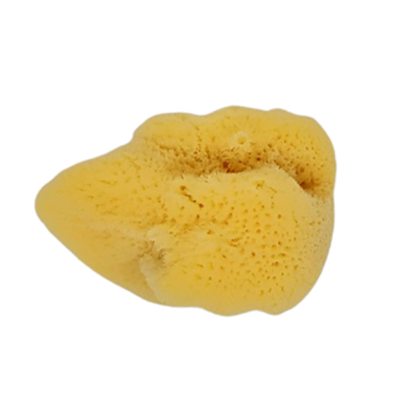 Moøská houba SILK 11-12 cm - Houby,žínky,rukavice - zvìtšit obrázek